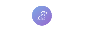 Icon 5